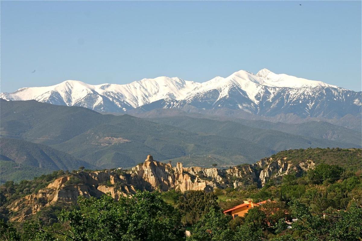 Gîte des Orgues de la Sybille Agave Canigou - Housity