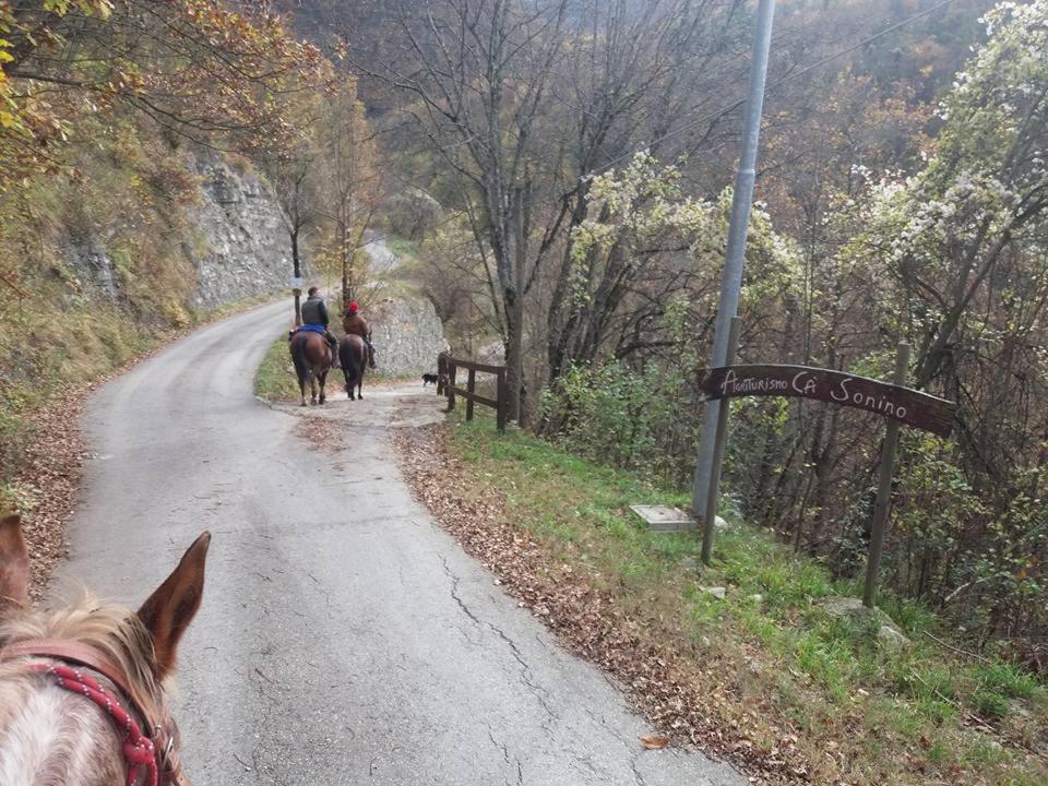 Agriturismo Cà Sonino - Housity