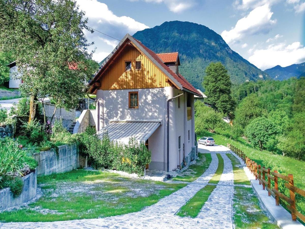 Počitniška hiša Pri Kuštrču - Housity