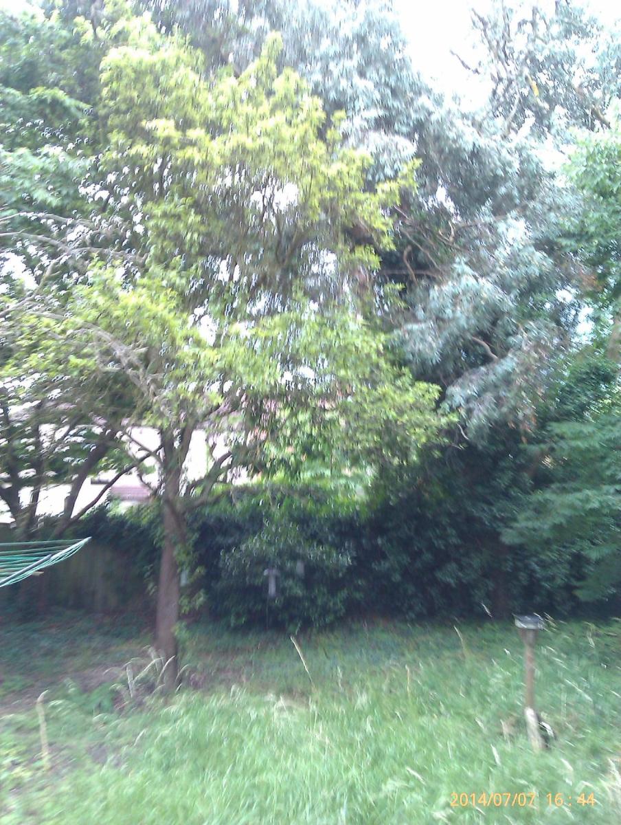 Hill Crescent - Housity