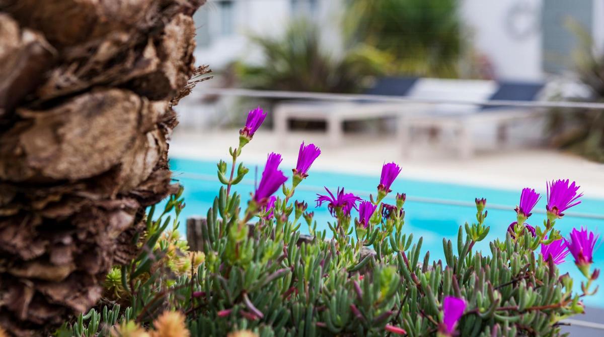 Jardin de l'établissement Hotel Les Bois Flottais