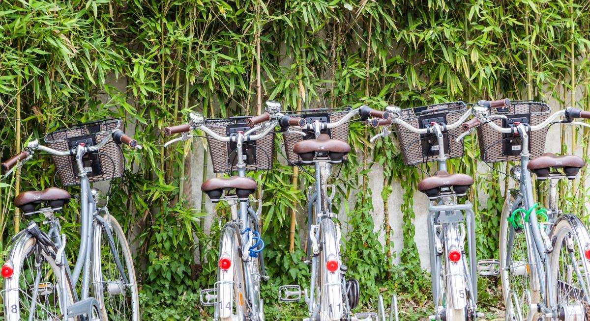 Vélo sur le terrain de l'établissement Hotel Les Bois Flottais ou dans les environs