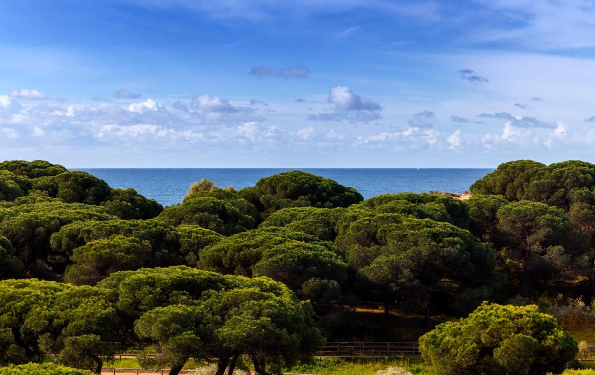 Paisaje cerca de este resort