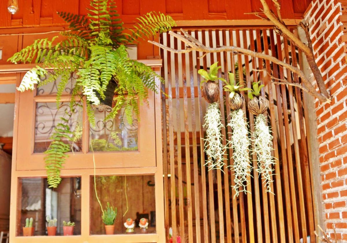 Pailin Guest House - Housity