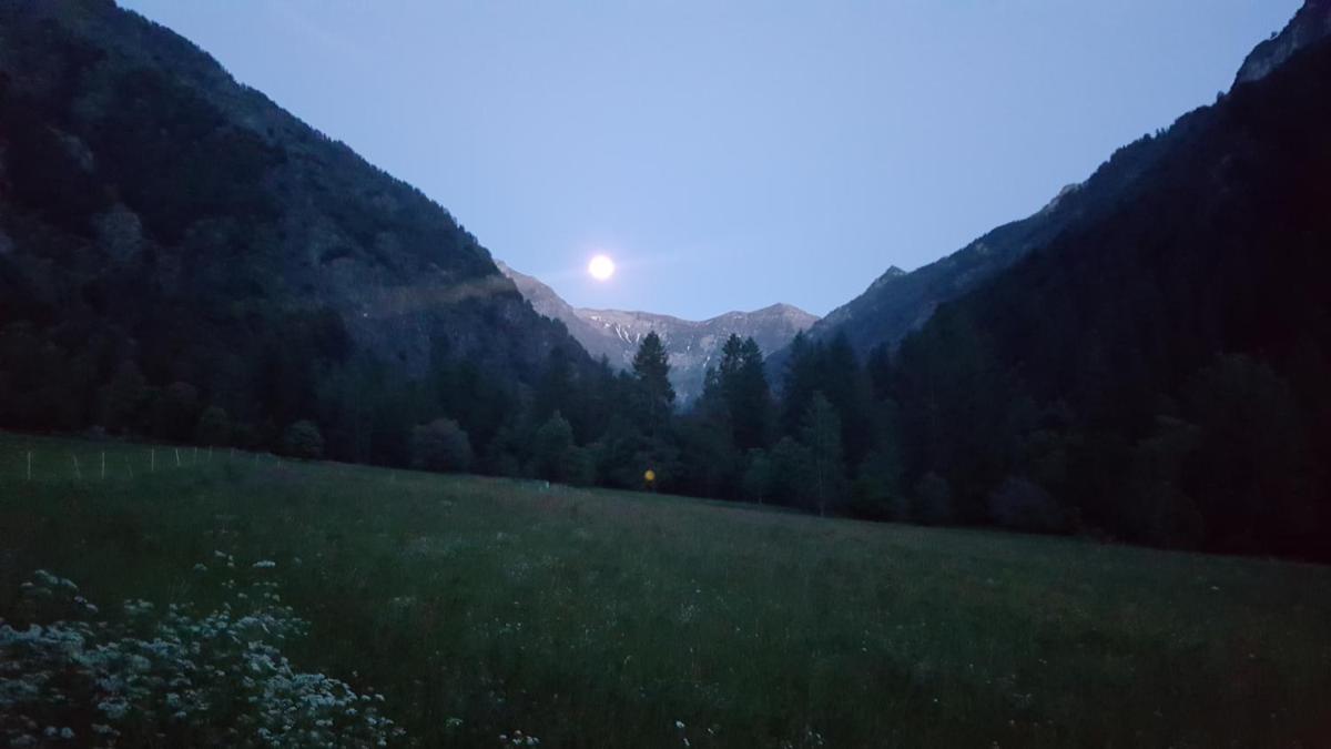 Honey Moon - Housity