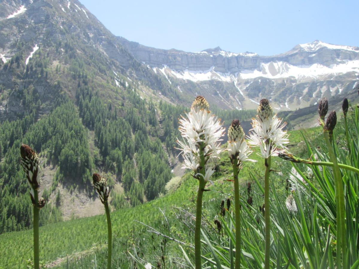 Honey Moon - Housity