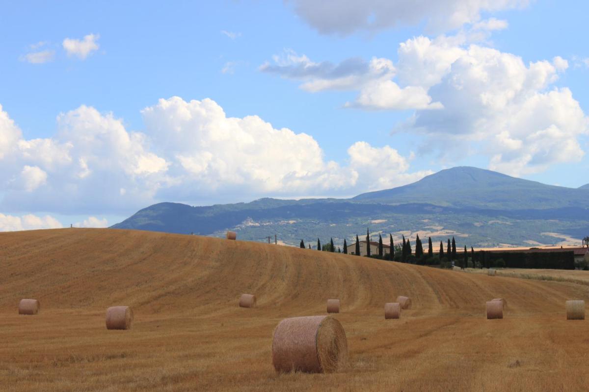 Alla Porta di Sopra - Housity