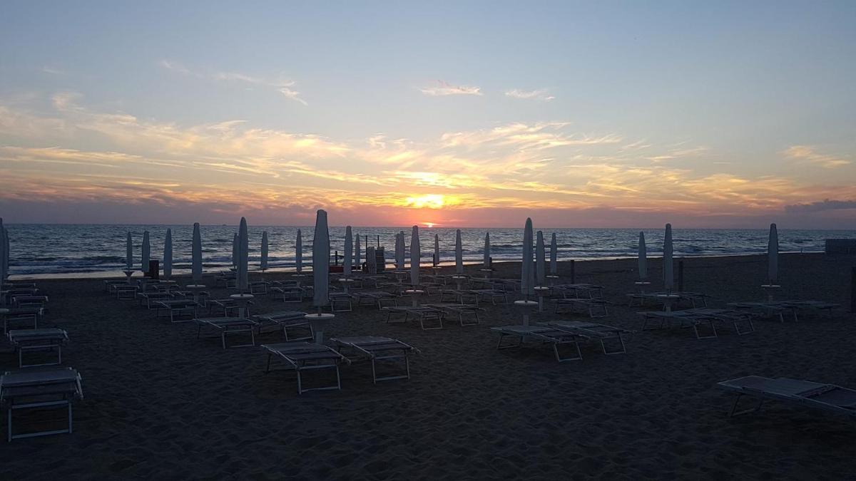 Oasy Apartament - Housity