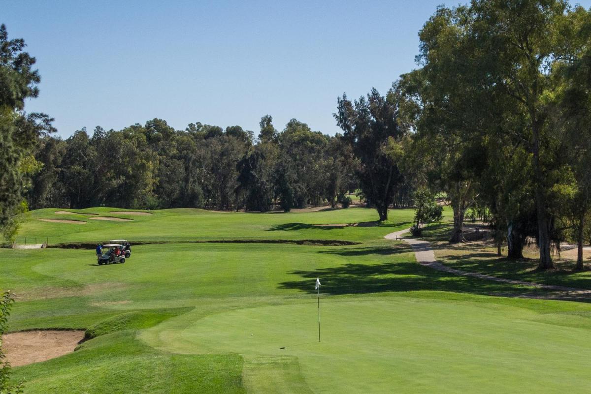 As comodidades de golfe no resort ou nas proximidades