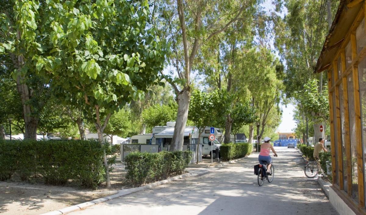 Eurocamping - Housity