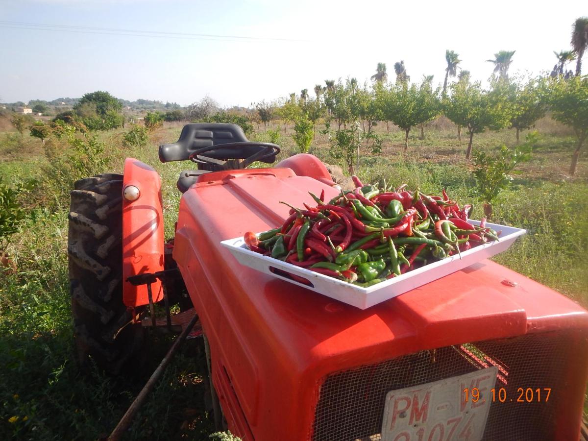 Resort Ollymar - Swinger Friendly - Housity