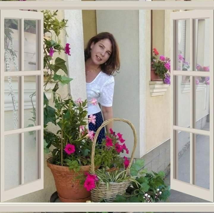 Weinhaus Eva-Maria Wagner - Housity