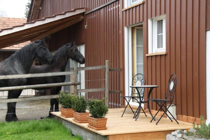 BnB Haag - Housity