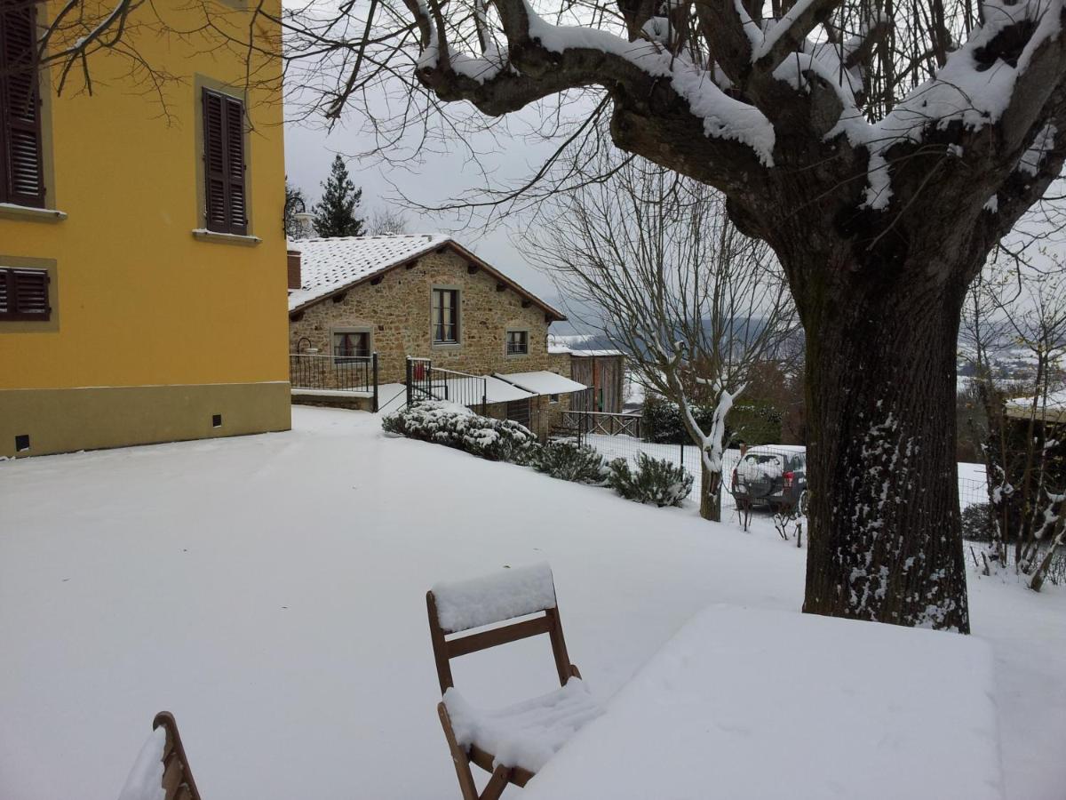 Poggio Agli Ulivi - Housity