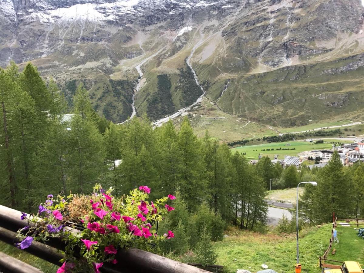 CERVINIA - Appartamento direttamente sulle piste, vista unica sul Cervino - Housity