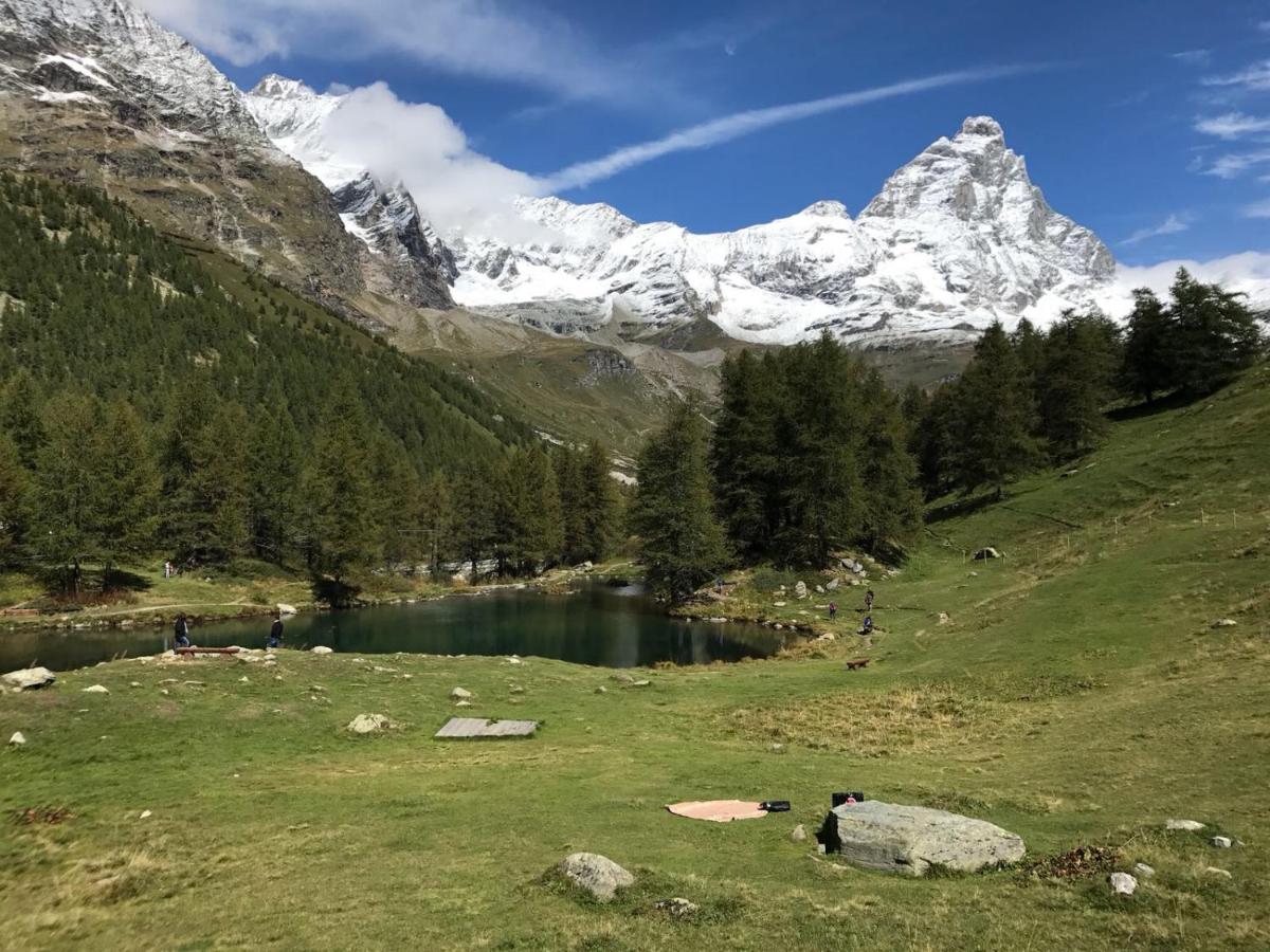 CERVINIA - Appartamento direttamente sulle piste, vista unica sul Cervino - Housity