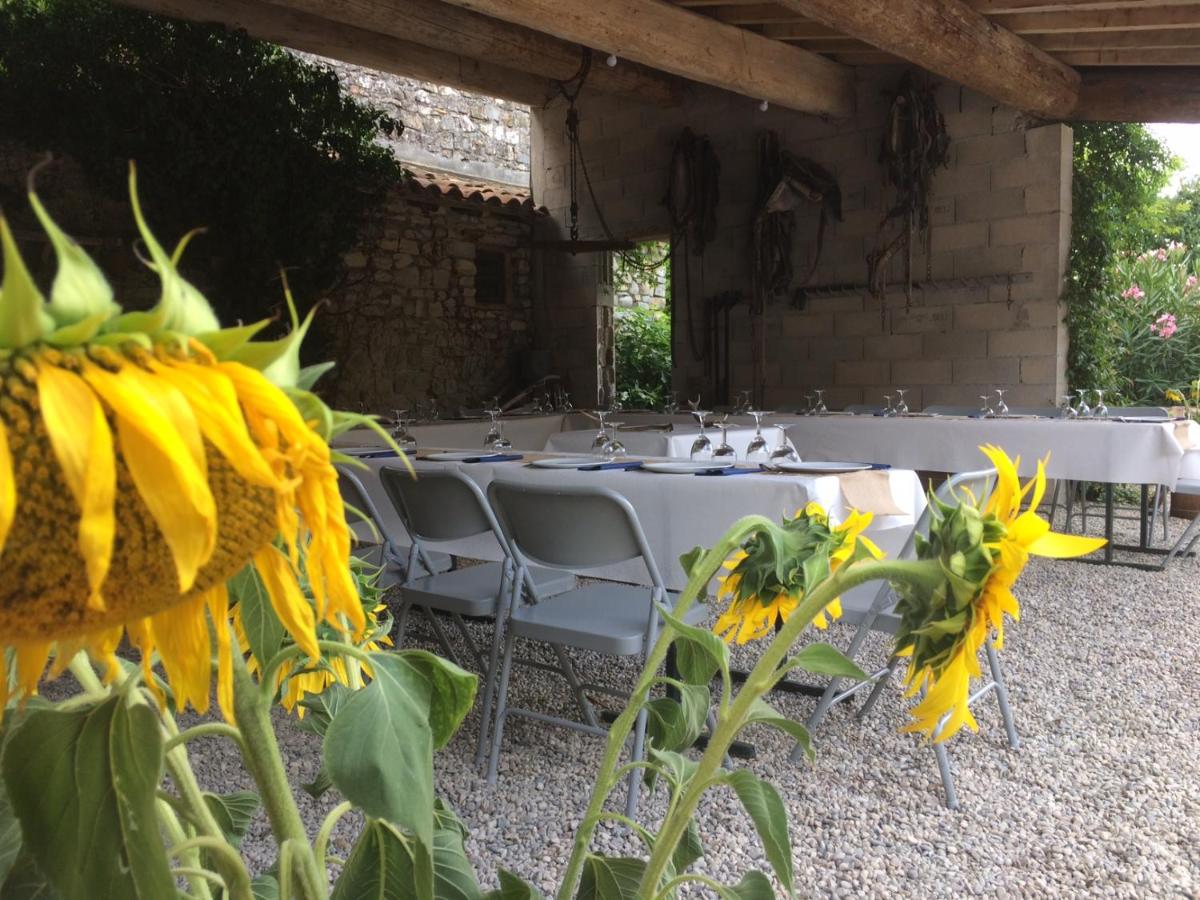 Le Coing des Vignes - Housity