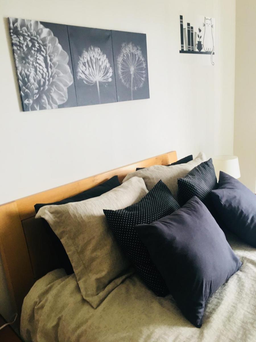 Apartment Down Town 422 - Hizvo
