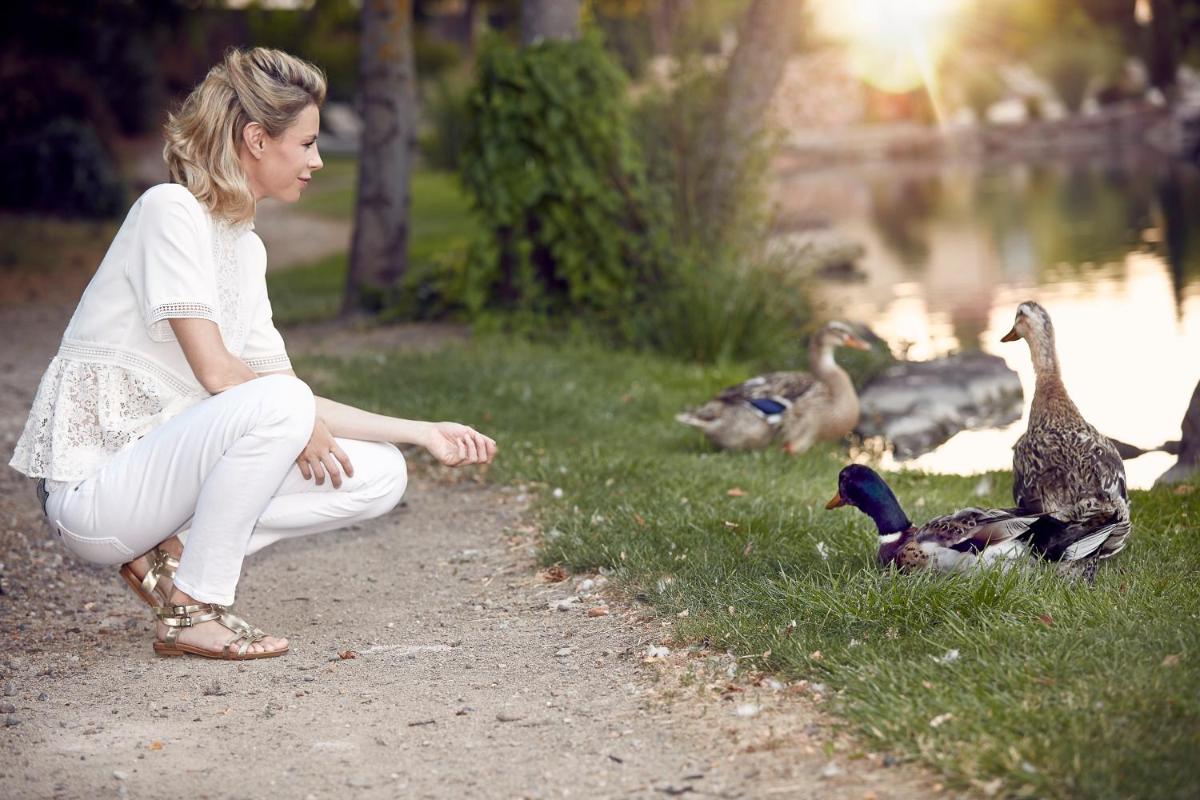 Animaux dans l'hôtel ou à proximité