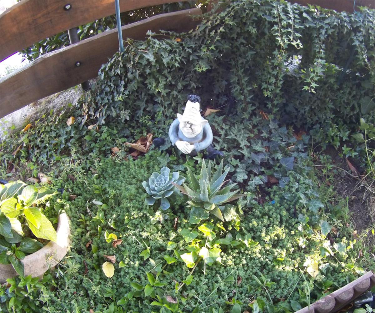 La Escapada ( Casa Rural de Gredos ) - Housity