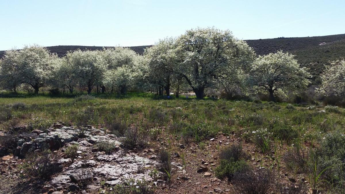 Middelfontein Farm - Housity