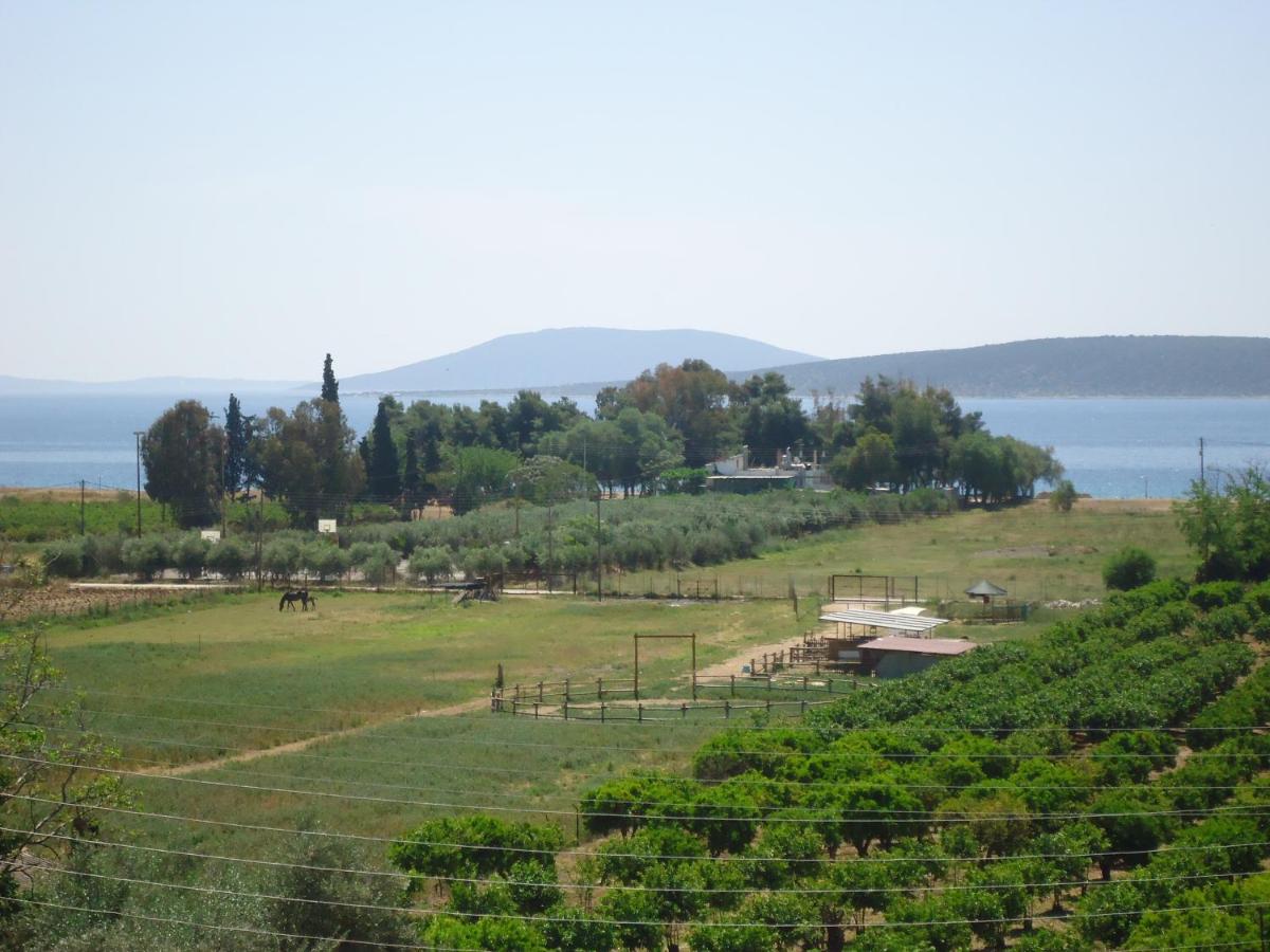 Christina Apartments - Housity