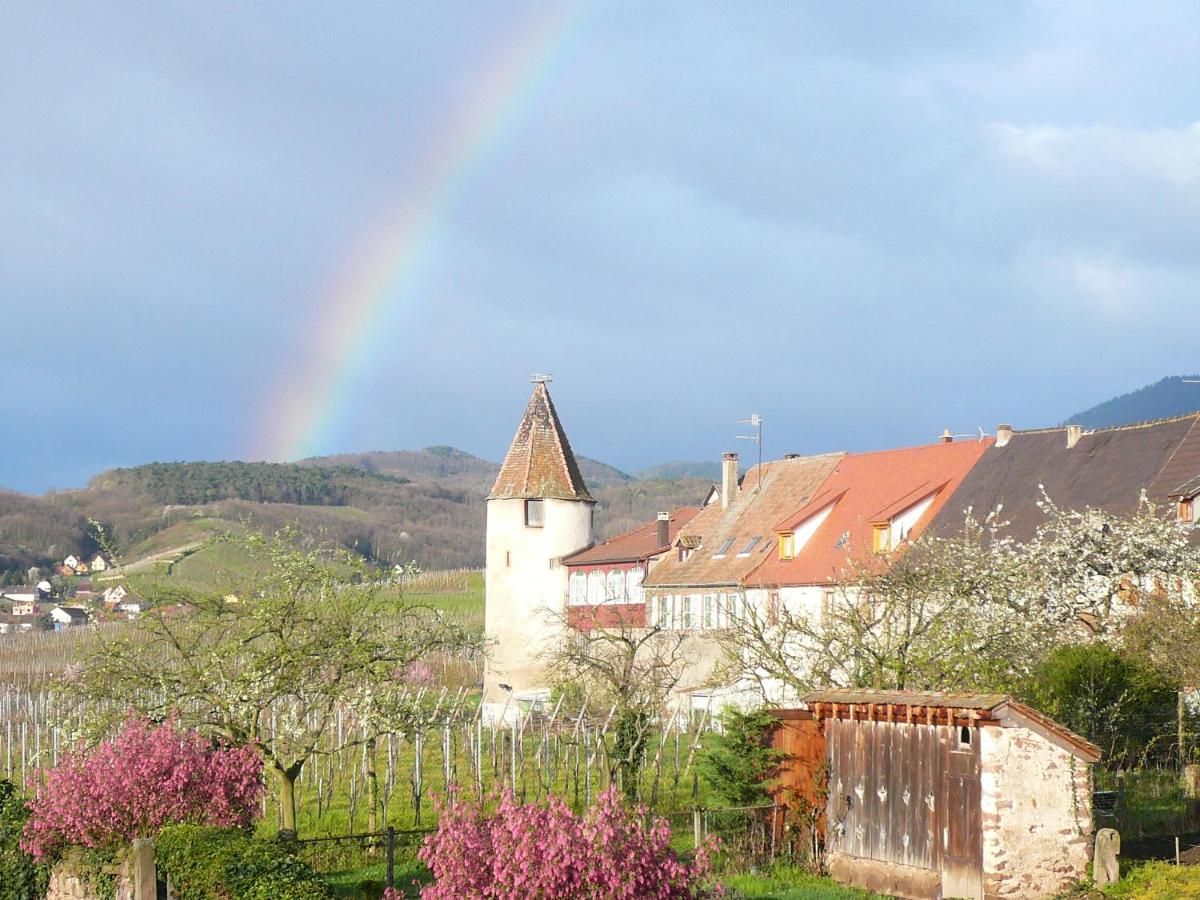 Vue générale sur la montagne ou vue sur la montagne depuis l'hôtel