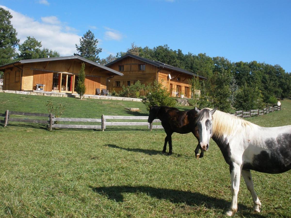 Gîte des Conquettes - Housity