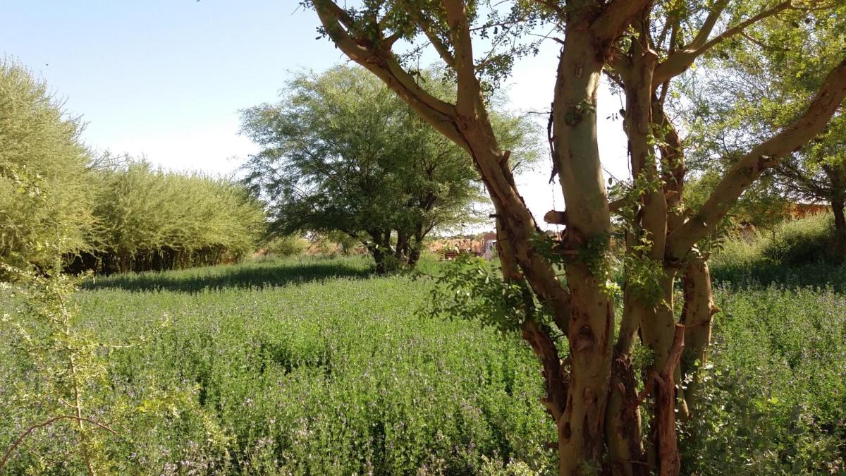 Cabañas el Chañar - Housity