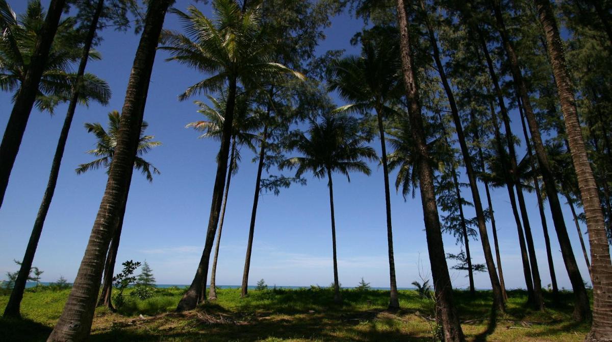 Khaolak Blue Lagoon Resort - SHA Extra Plus - Housity