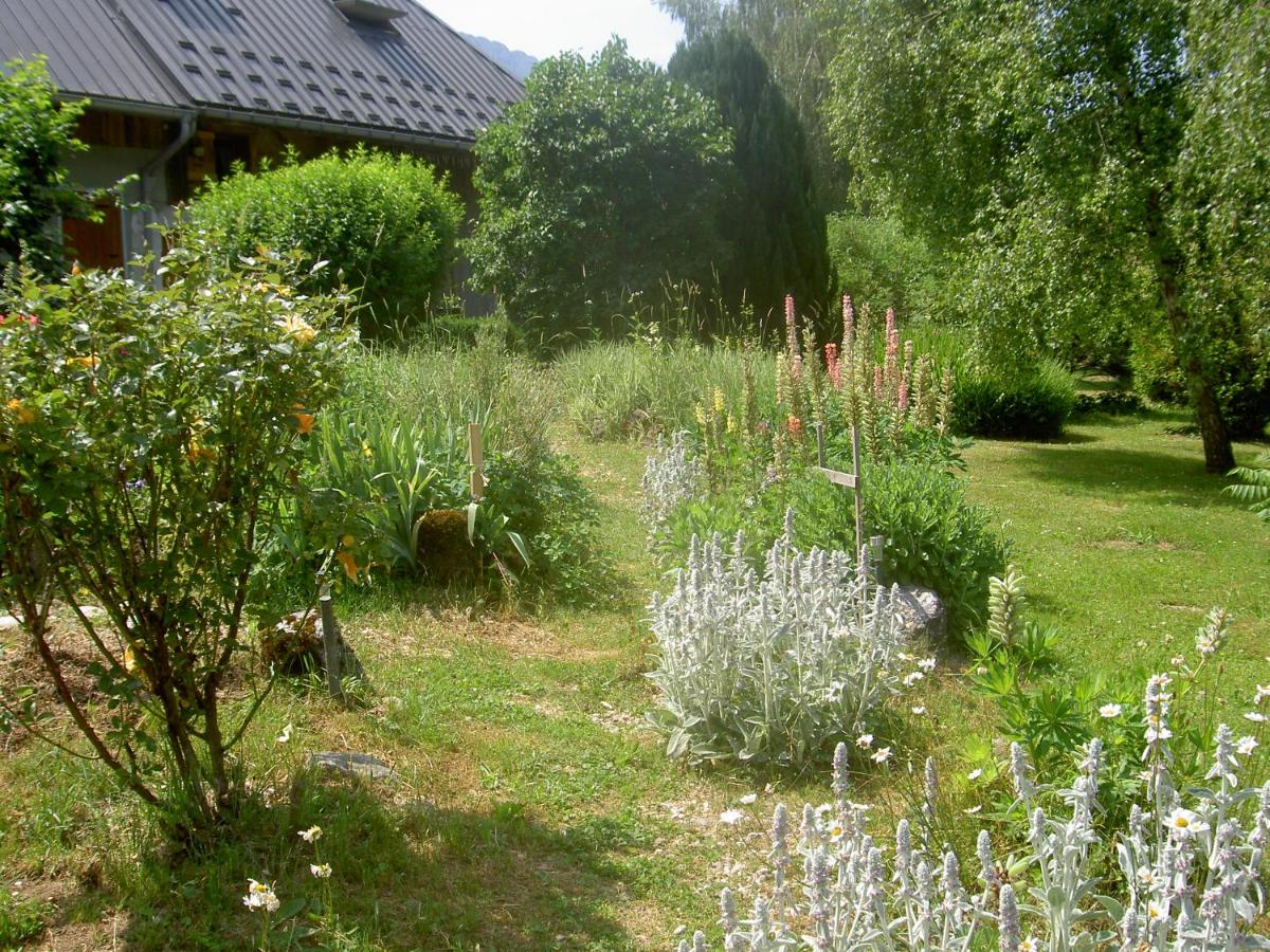 Serenella fontaine Et Coquelicots - Housity