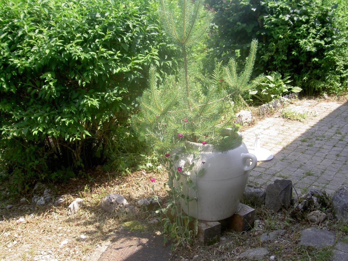 Serenella fontaine Et Coquelicots - Housity