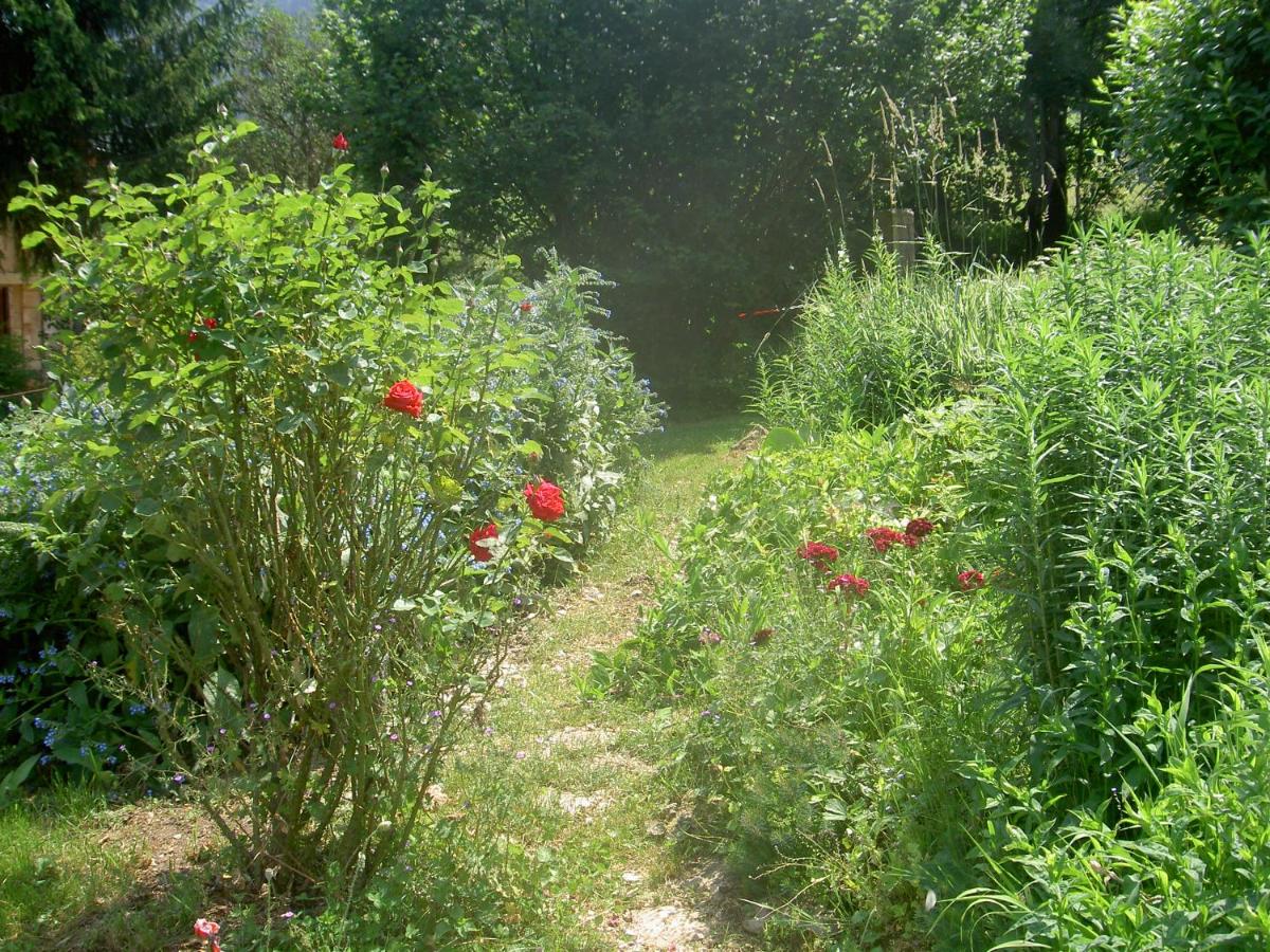 Serenella fontaine Et Coquelicots - Housity
