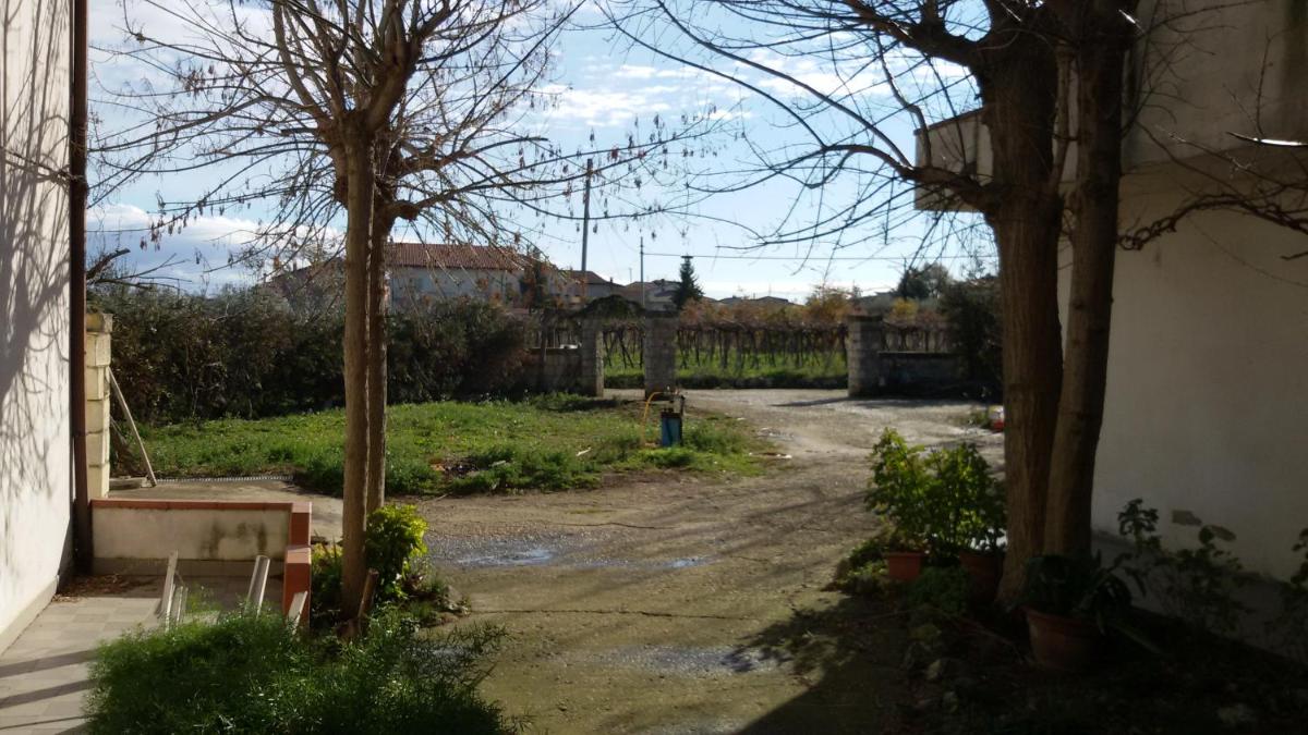 Fattoria Zitumasse - Housity