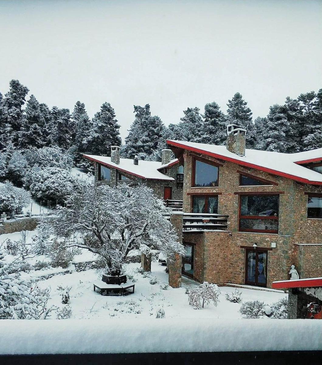 ViP Chalet 4 Seasons - Housity