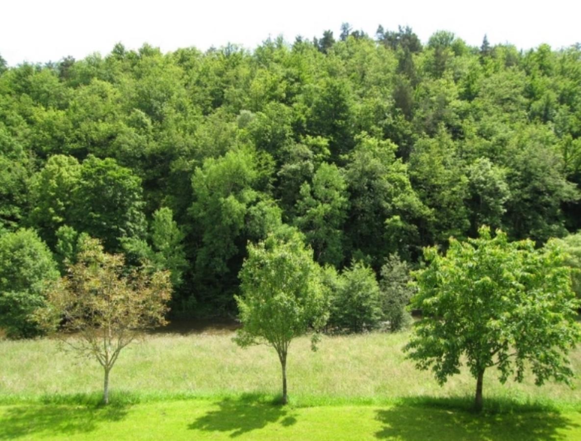 Paysage naturel près de l'hôtel