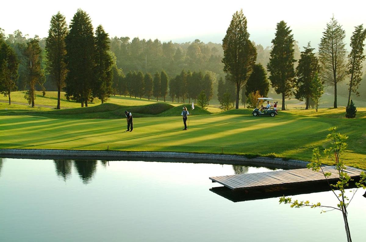 Paisaje cerca de este hotel