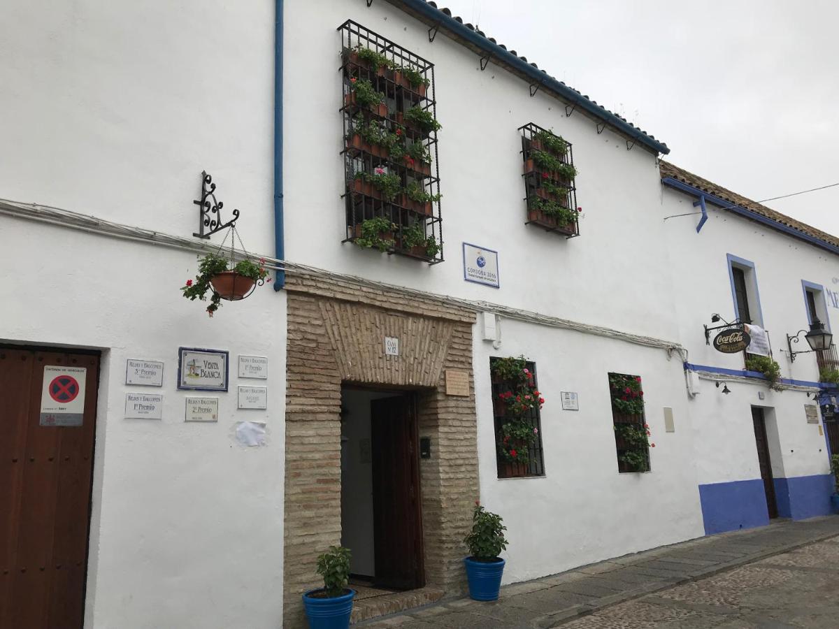 Casa longa - Housity
