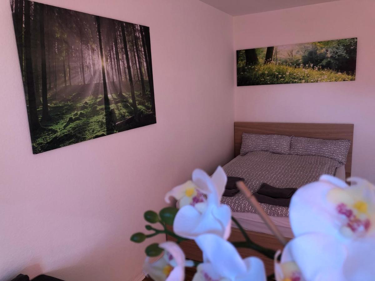 Appartement Redhouse - Housity