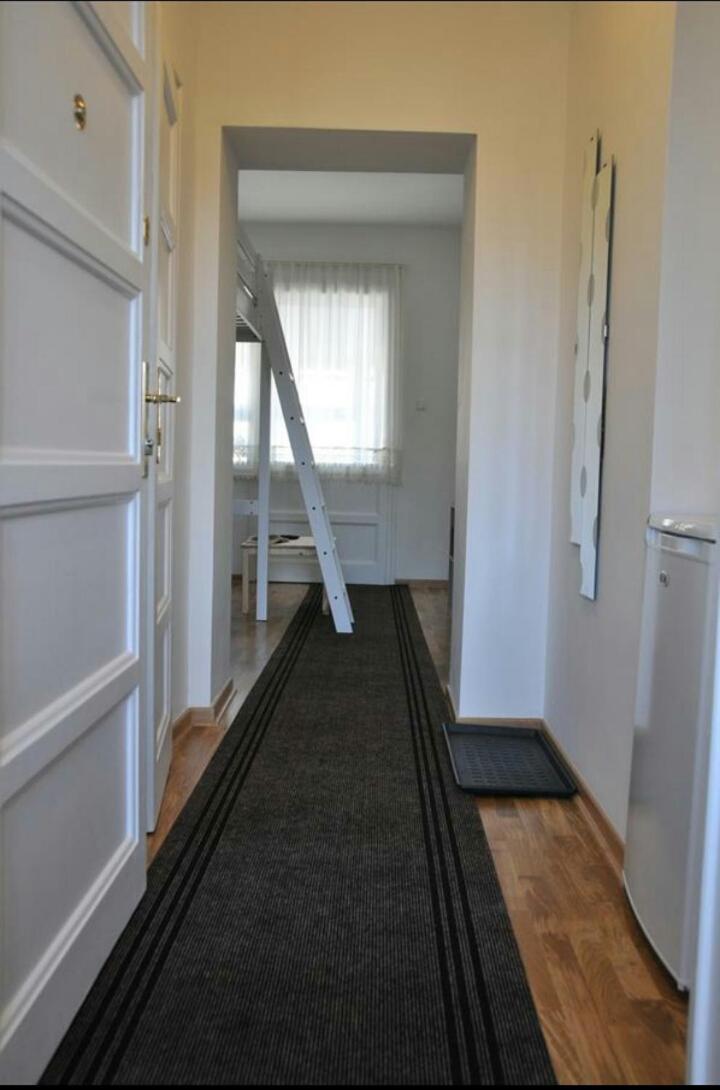 Apartment in the city center - Housity