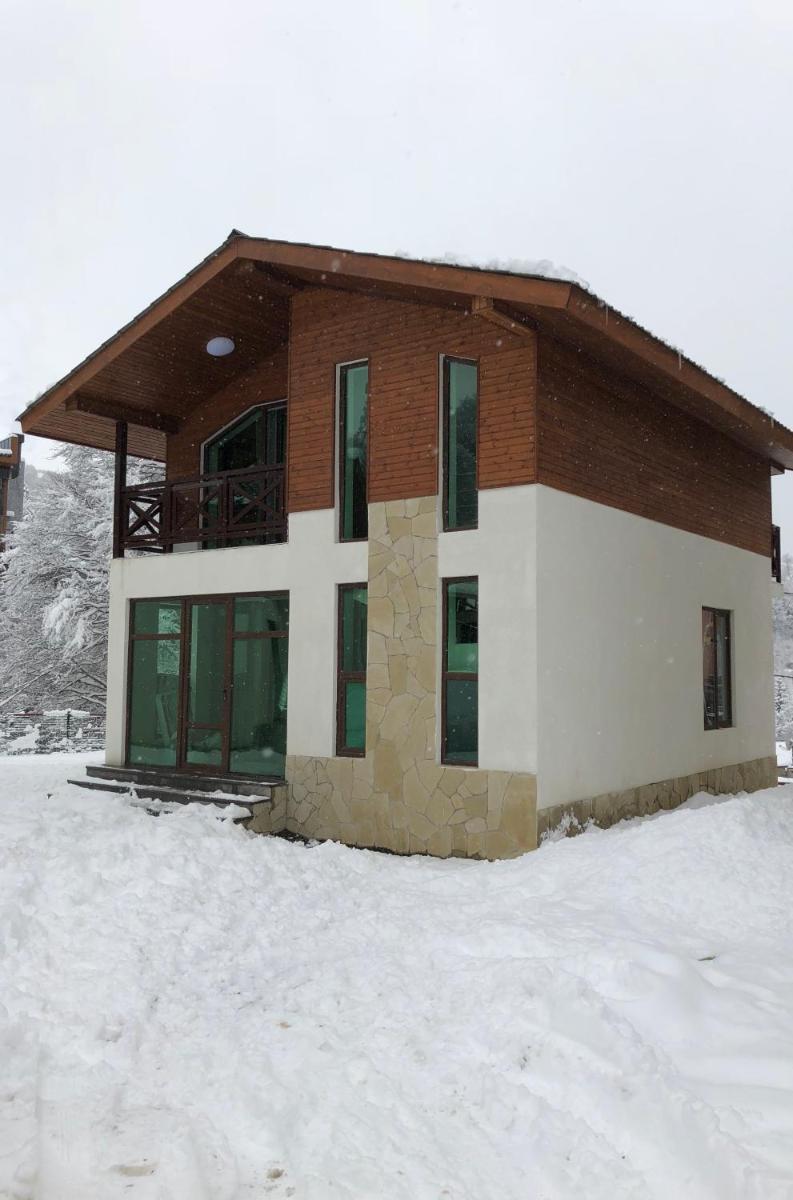 Cottage in Bakuriani - Housity