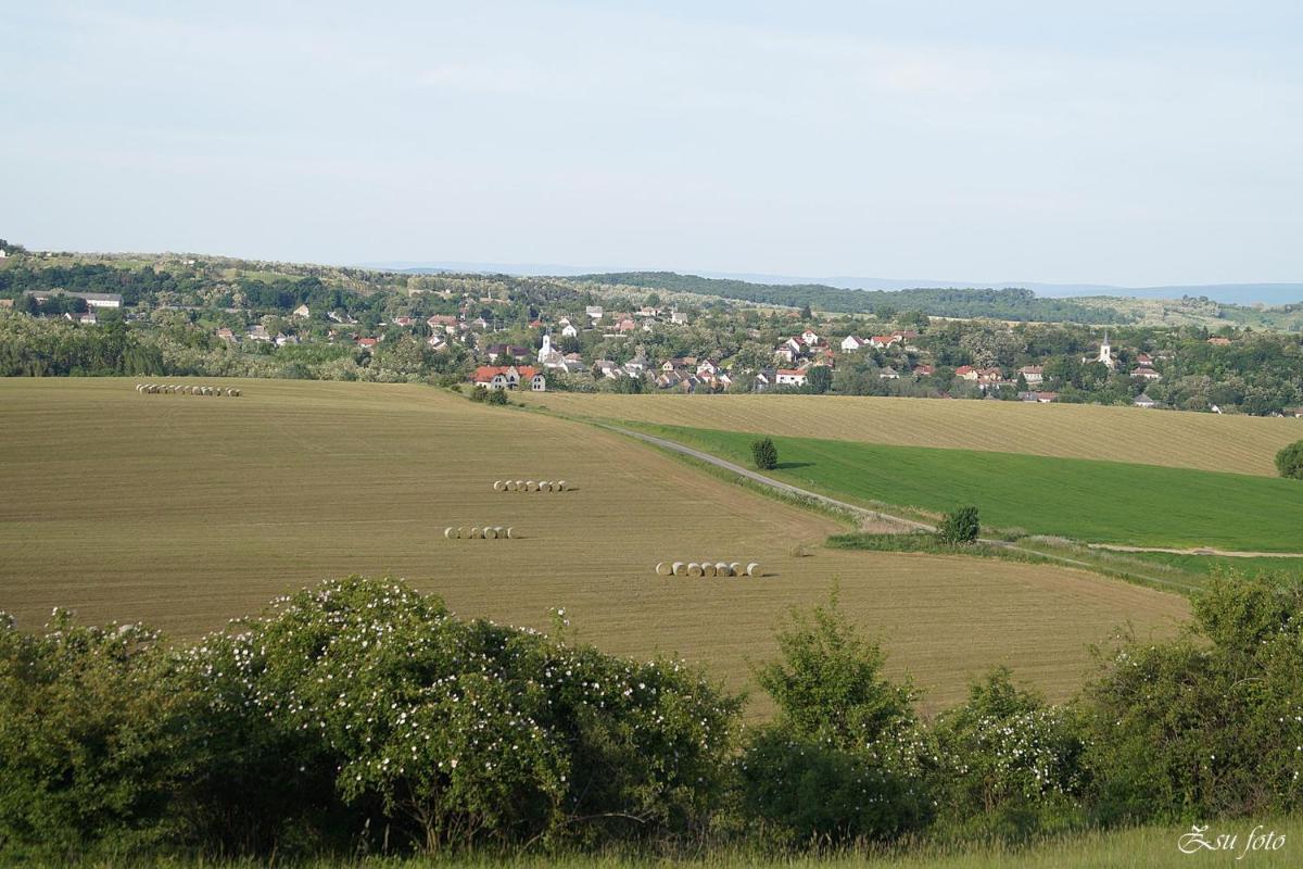 Békesség Szigete, Klasszik Apartman - Housity