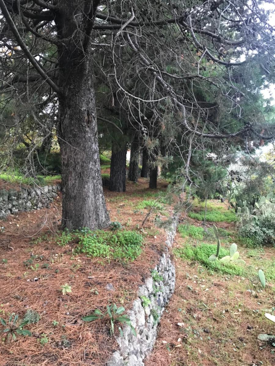 Casa Vacanze Etna - Housity