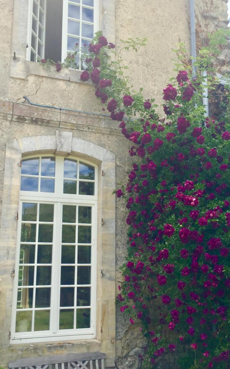 L'Orangerie du Grand Jardin - Housity