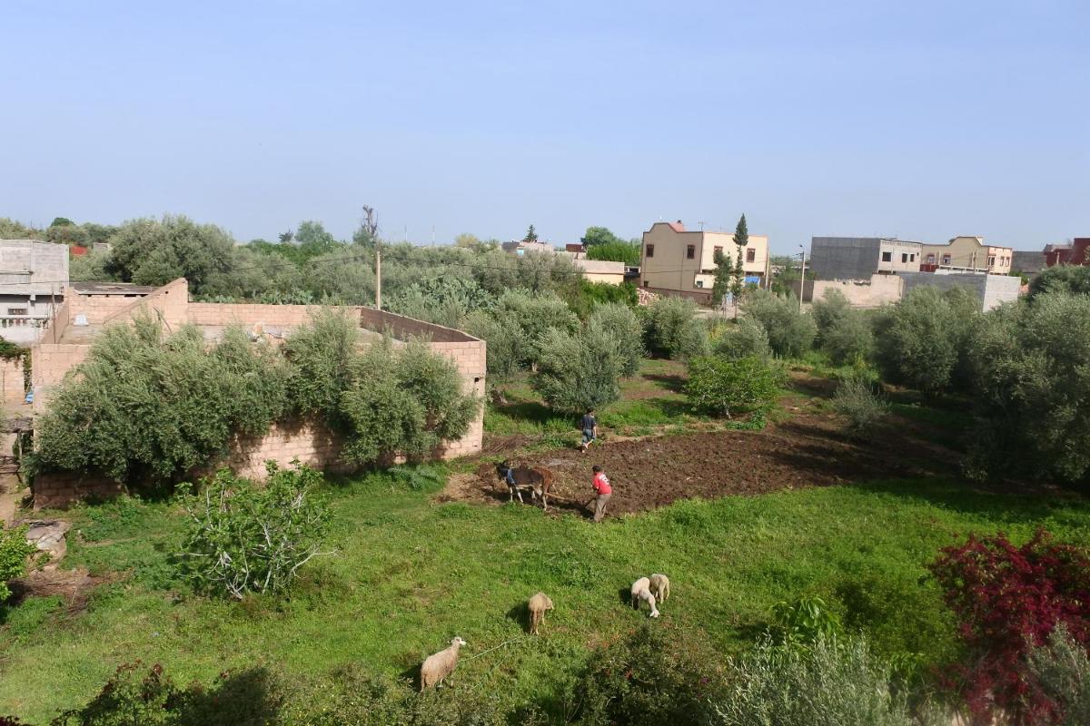 Suitetrails - Le jardin d'habiba