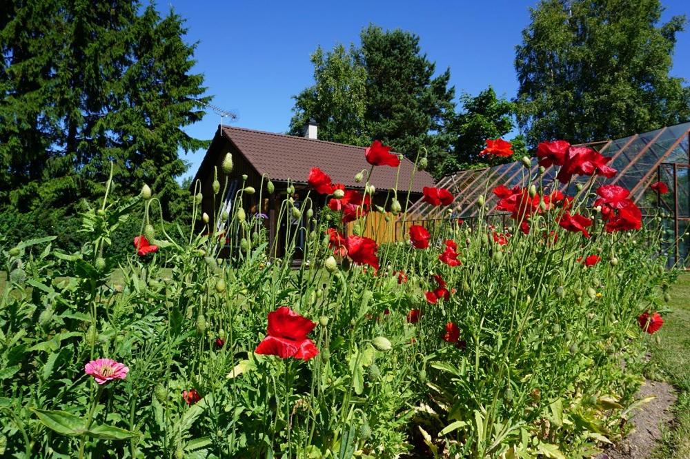 Kelluka Holiday House - Housity