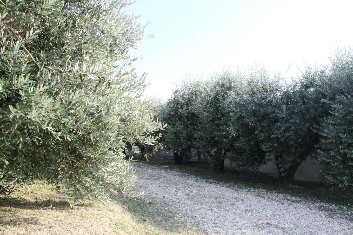 La Viola e il Sole - alloggi e glamping - - Housity