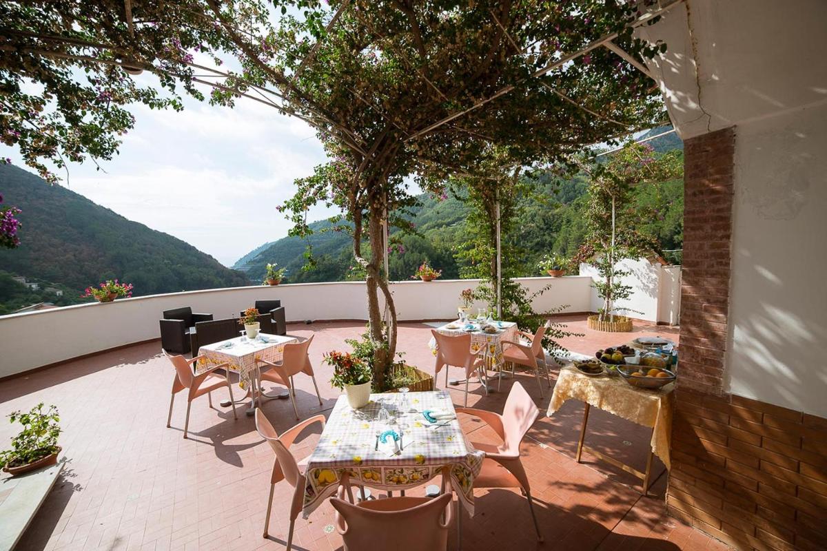 B&B Bouganville - Housity