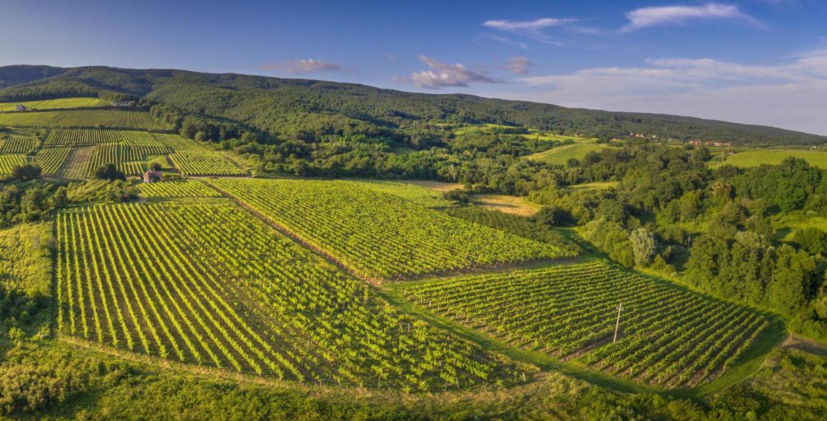 Robinson Vila Kitokret - Housity