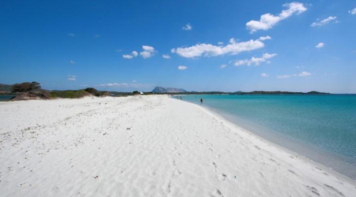 nonna antonietta - Housity